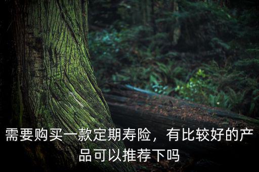 需要購買一款定期壽險(xiǎn)，有比較好的產(chǎn)品可以推薦下嗎