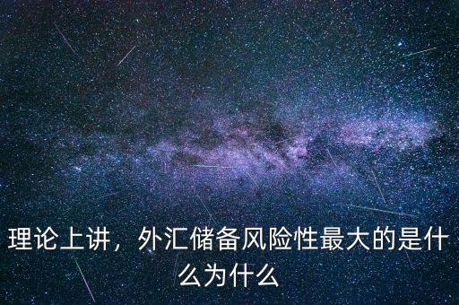 理論上講，外匯儲(chǔ)備風(fēng)險(xiǎn)性最大的是什么為什么