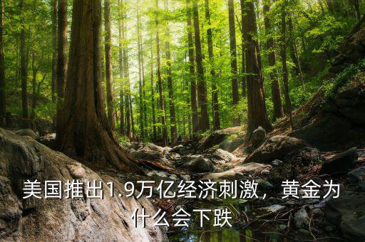 美國推出1.9萬億經(jīng)濟刺激，黃金為什么會下跌