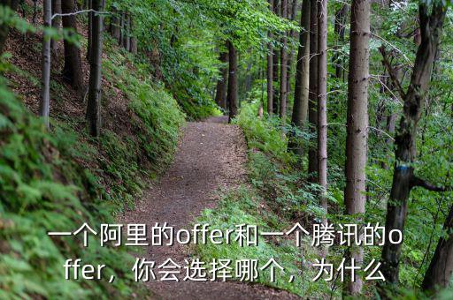 一個阿里的offer和一個騰訊的offer，你會選擇哪個，為什么