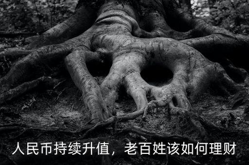 人民幣持續(xù)升值，老百姓該如何理財
