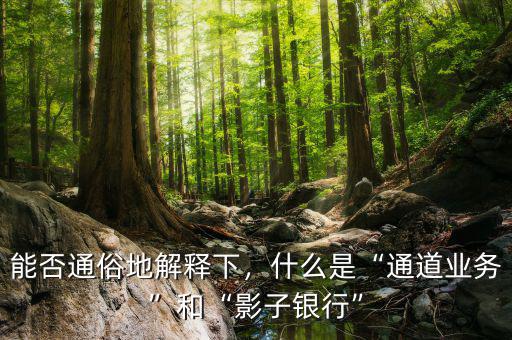 能否通俗地解釋下，什么是“通道業(yè)務”和“影子銀行”