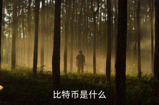 比特幣是什么