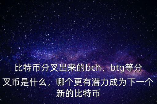 比特幣分叉出來的bch、btg等分叉幣是什么，哪個更有潛力成為下一個新的比特幣