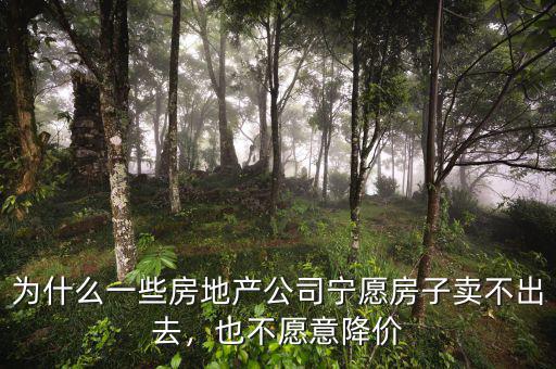 為什么一些房地產(chǎn)公司寧愿房子賣不出去，也不愿意降價(jià)