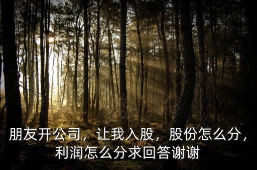 朋友開公司，讓我入股，股份怎么分，利潤怎么分求回答謝謝
