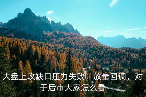 大盤上攻缺口壓力失敗，放量回調(diào)，對于后市大家怎么看