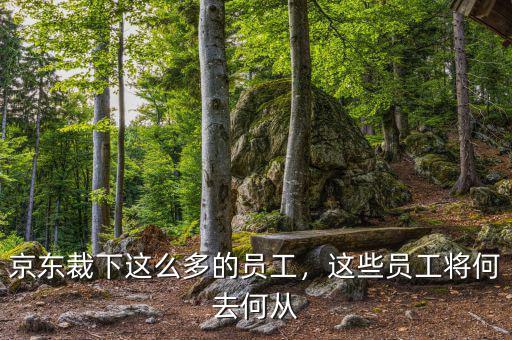 京東裁下這么多的員工，這些員工將何去何從