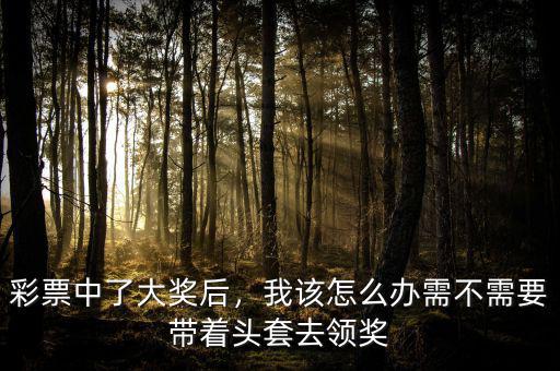 彩票中了大獎(jiǎng)后，我該怎么辦需不需要帶著頭套去領(lǐng)獎(jiǎng)
