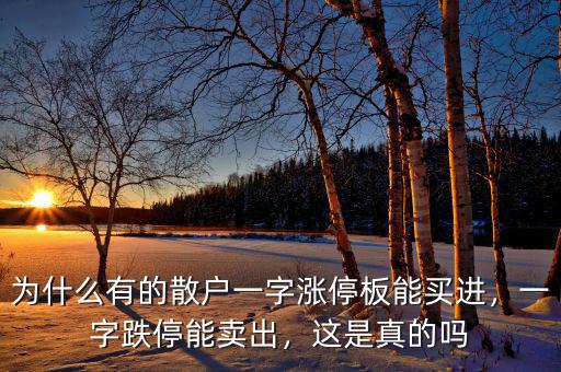為什么有的散戶一字漲停板能買進(jìn)，一字跌停能賣出，這是真的嗎