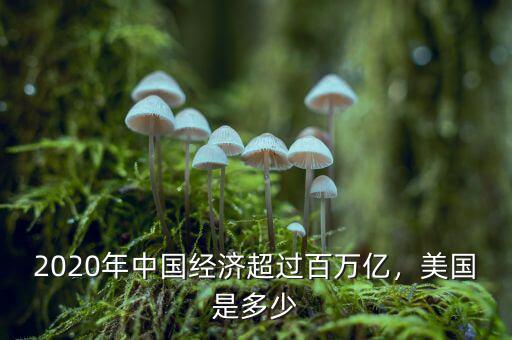 2020年中國經(jīng)濟超過百萬億，美國是多少