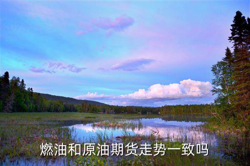 燃油指數和燃油期貨什么關系,燃油和原油期貨走勢一致嗎