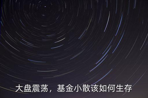 大盤震蕩，基金小散該如何生存