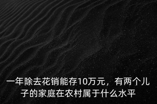 一年除去花銷能存10萬(wàn)元，有兩個(gè)兒子的家庭在農(nóng)村屬于什么水平