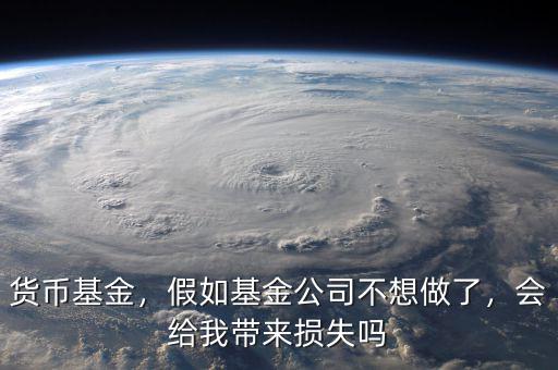 貨幣基金，假如基金公司不想做了，會(huì)給我?guī)?lái)?yè)p失嗎