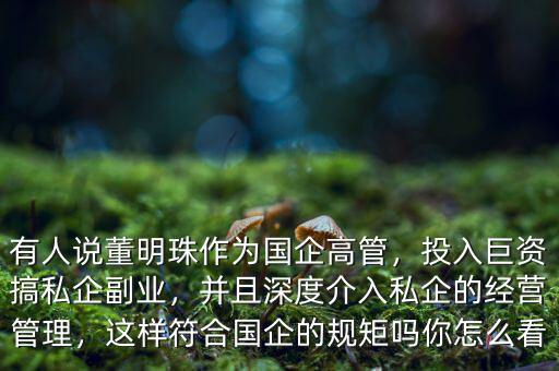 有人說董明珠作為國(guó)企高管，投入巨資搞私企副業(yè)，并且深度介入私企的經(jīng)營(yíng)管理，這樣符合國(guó)企的規(guī)矩嗎你怎么看