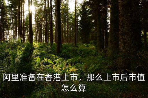 阿里準(zhǔn)備在香港上市，那么上市后市值怎么算