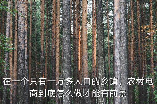 在一個(gè)只有一萬(wàn)多人口的鄉(xiāng)鎮(zhèn)，農(nóng)村電商到底怎么做才能有前景