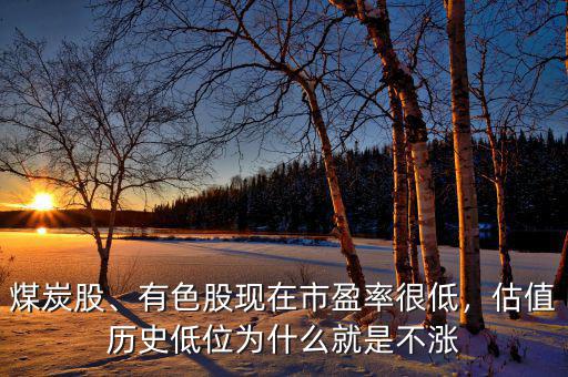 煤炭股、有色股現(xiàn)在市盈率很低，估值歷史低位為什么就是不漲