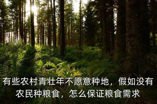 有些農(nóng)村青壯年不愿意種地，假如沒有農(nóng)民種糧食，怎么保證糧食需求