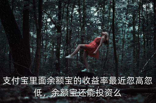 支付寶里面余額寶的收益率最近忽高忽低，余額寶還能投資么