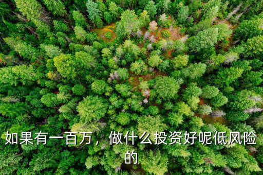 如果有一百萬，做什么投資好呢低風(fēng)險的