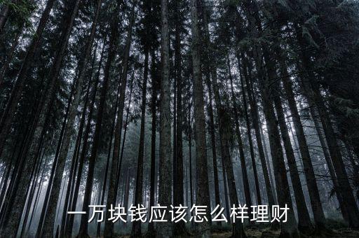 一萬元怎么理財,如果手里有一萬元要如何理財