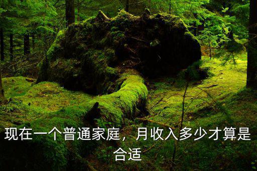現(xiàn)在一個普通家庭，月收入多少才算是合適
