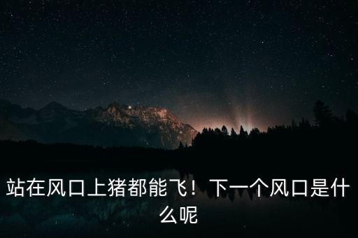 站在風(fēng)口上豬都能飛！下一個(gè)風(fēng)口是什么呢