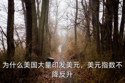 為什么美國(guó)大量印發(fā)美元，美元指數(shù)不降反升