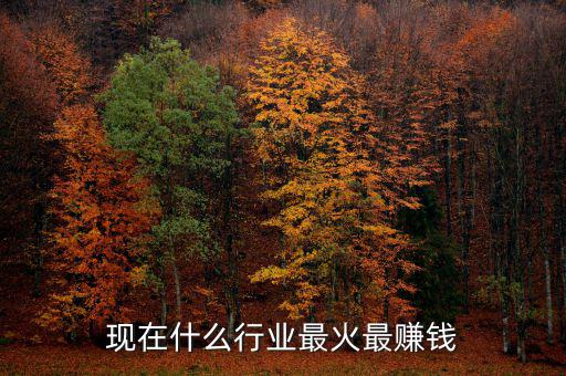 現(xiàn)在什么行業(yè)最火最賺錢(qián)