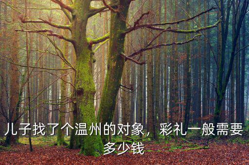 兒子找了個(gè)溫州的對(duì)象，彩禮一般需要多少錢