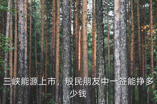 三峽能源上市，股民朋友中一簽?zāi)軖甓嗌馘X