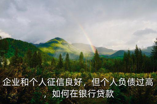 企業(yè)和個(gè)人征信良好，但個(gè)人負(fù)債過高，如何在銀行貸款