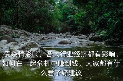 受疫情影響，各大行業(yè)經(jīng)濟都有影響，如何在一起危機中賺到錢，大家都有什么君子好建議