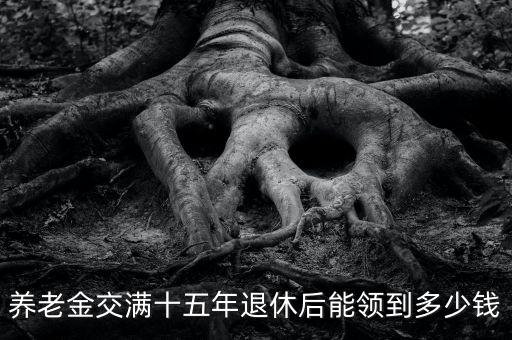 養(yǎng)老金交滿十五年退休后能領(lǐng)到多少錢(qián)