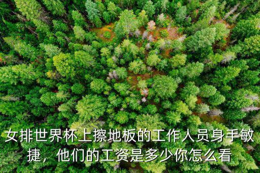 女排世界杯上擦地板的工作人員身手敏捷，他們的工資是多少你怎么看