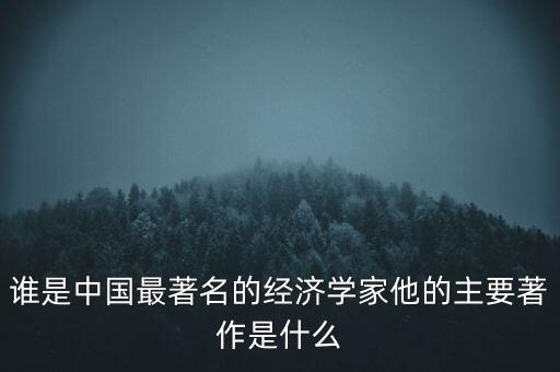經(jīng)濟學(xué)家是什么,誰是中國最著名的經(jīng)濟學(xué)家