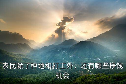 農(nóng)民除了種地和打工外，還有哪些掙錢機(jī)會