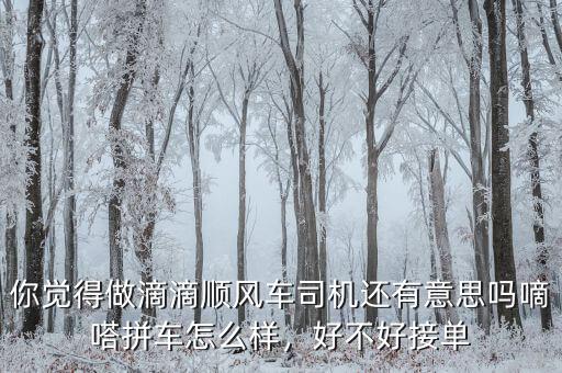 你覺得做滴滴順風車司機還有意思嗎嘀嗒拼車怎么樣，好不好接單