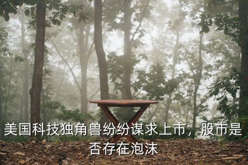 美國(guó)科技獨(dú)角獸紛紛謀求上市，股市是否存在泡沫