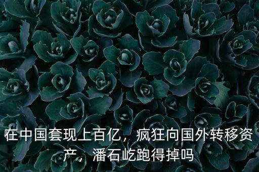 在中國(guó)套現(xiàn)上百億，瘋狂向國(guó)外轉(zhuǎn)移資產(chǎn)，潘石屹跑得掉嗎