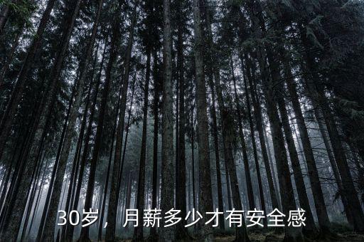 30歲，月薪多少才有安全感