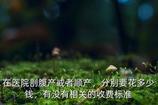 在醫(yī)院剖腹產(chǎn)或者順產(chǎn)，分別要花多少錢，有沒有相關的收費標準