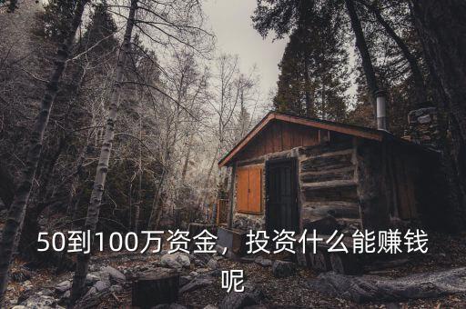 50到100萬資金，投資什么能賺錢呢