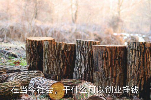 在當(dāng)今社會，干什么可以創(chuàng)業(yè)掙錢