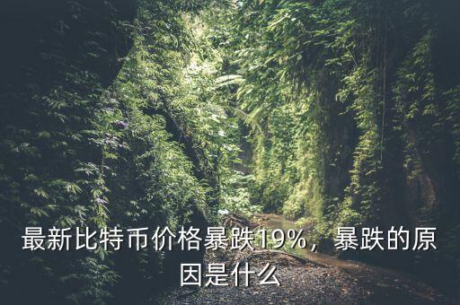 最新比特幣價(jià)格暴跌19%，暴跌的原因是什么