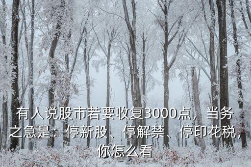 有人說股市若要收復(fù)3000點(diǎn)，當(dāng)務(wù)之急是：停新股、停解禁、停印花稅，你怎么看