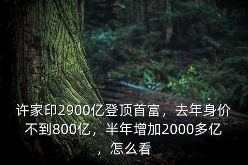 許家印2900億登頂首富，去年身價不到800億，半年增加2000多億，怎么看