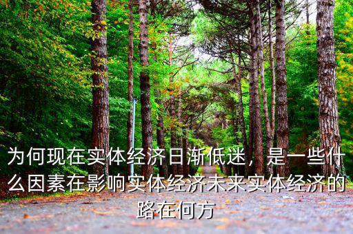 為何現(xiàn)在實(shí)體經(jīng)濟(jì)日漸低迷，是一些什么因素在影響實(shí)體經(jīng)濟(jì)未來實(shí)體經(jīng)濟(jì)的路在何方